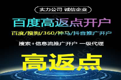 百度搜索推广实战技巧：成功案例启示录
